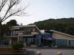 -龙猫意杯花园餐厅(芙蓉湖店)
