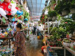 -万商花鸟市场