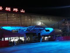 -深圳坪山站