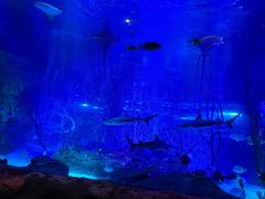 -沈阳海洋探索中心