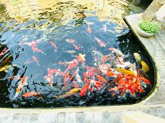 -顺德了能馆(虎门店)