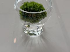 -广州白云机场雅高诺富特酒店