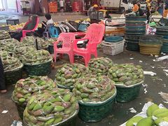 -三亚新鸿港水果一级批发市场