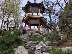 -莲花池公园