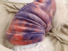 -怪兽屋·羊驼·猫咖·狗咖(俊华广场店)