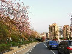 -小南山公园