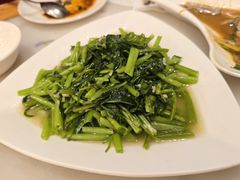 蒜蓉通心菜-华盛丰温州大排档(东三环南路店)