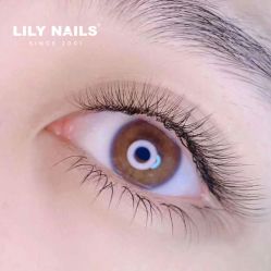 -LILY NAILS美甲美睫