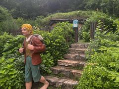 -幽岚山·童话森林