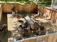 -水上乐园·欢乐世界