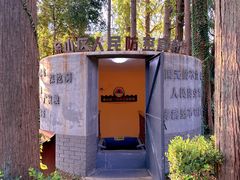 -枫泾古镇-人民公社旧址