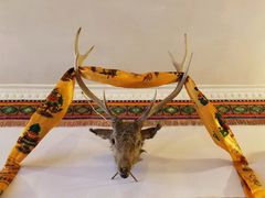 -卡万金特色藏餐