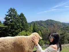 -神户市立六甲山牧场