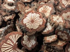 -塞罕坝国家级自然保护区