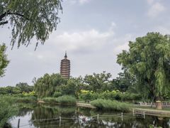 -西海子公园