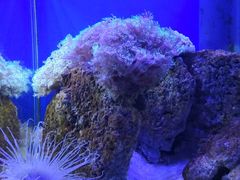 -海合安武汉极地海洋公园