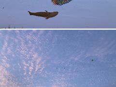 -巨鹏飞梦幻海岸