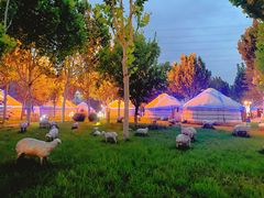 -九十九顶毡房(阜石路店)