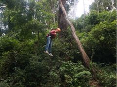 iphone_upload_pic-清迈丛林飞跃 JungleFlight