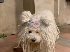 -小意思咖啡店(草桥店)