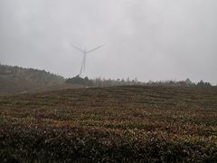 -东白山