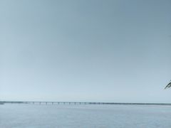 -花园口旅游区