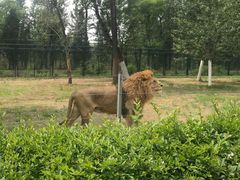 -秦皇岛野生动物园