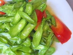 -绿草墩