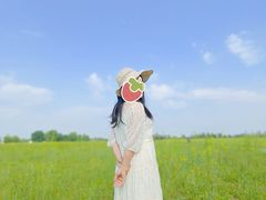 -汉长安城未央宫国家考古遗址公园