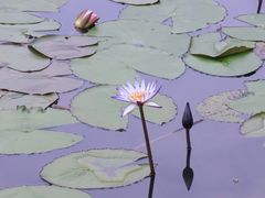 -西湖游船