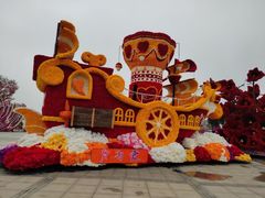-荷兰花海