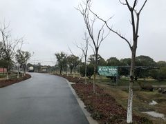 -上海长兴岛郊野公园