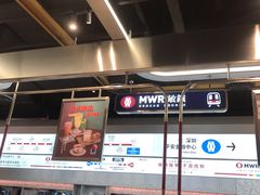 -敏华冰厅(平安金融中心店)