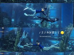 -顺德南宏海立方海洋公园