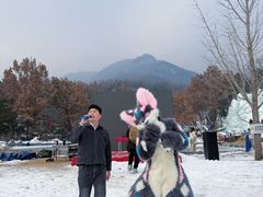 -沂蒙山旅游区云蒙景区(蒙山国家森林公园)