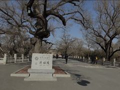 -北陵公园