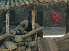 -黔灵山公园