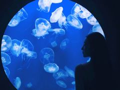 -成都浩海立方海洋公园