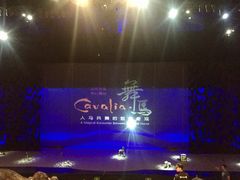-cavalia·舞马
