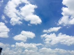 -沈记烧烤海鲜(江汉二路店)