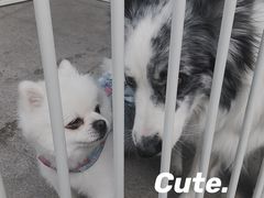 -miss密斯韩餐(平阳景苑店)