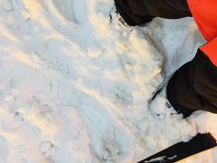 -哈尔滨热雪奇迹
