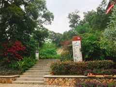 -金鸡山公园