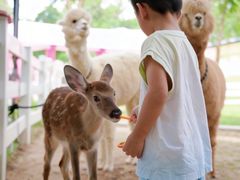 -云栖山谷露营地·团建年会·生日派对