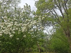 -烟水渔庄餐厅(西溪湿地店)