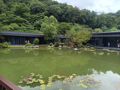 -云溪植物园