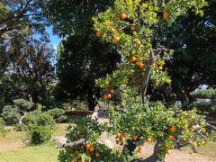 -洱海月湿地公园