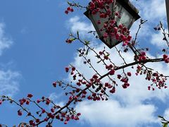 -乌山风景区