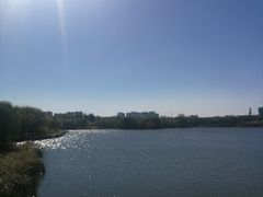 -大兴滨河森林公园