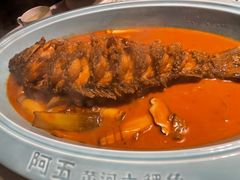 -阿五黄河大鲤鱼(纬三路店)